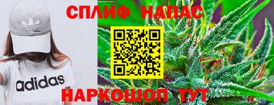 стаф Донской