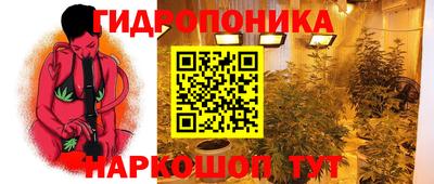стаф Донской
