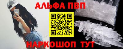 стаф Донской