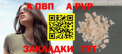 стаф Донской