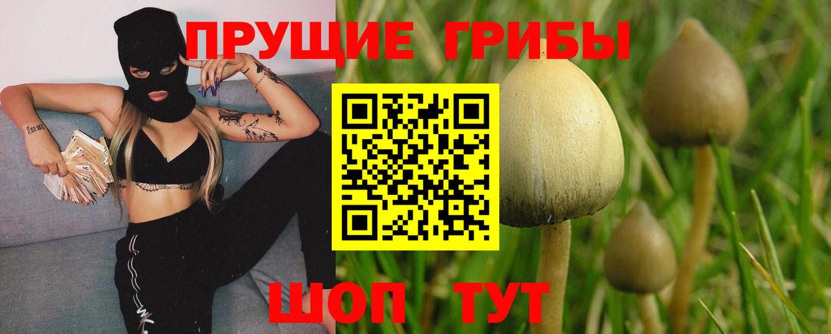 наркота  Вход с VPN  Моздок  Галлюциногенные грибы ЛСД 
