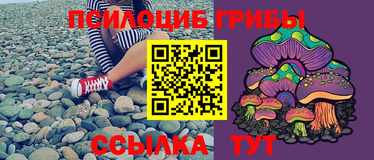 Псилоцибиновые грибы прущие грибы Моздок